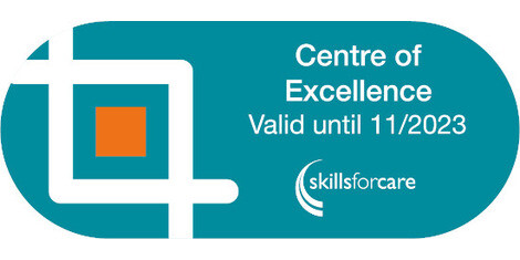 Skills For Care Centre Of Excellence